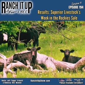 Results From Superior Livestock’s Sale