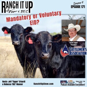 Mandatory Or Voluntary Electronic Identification In Cattle