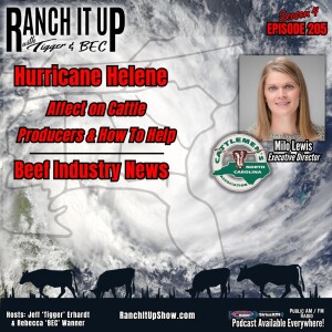 How Hurricane Helene Affected Cattle Producers & How To Help Plus Beef Industry News