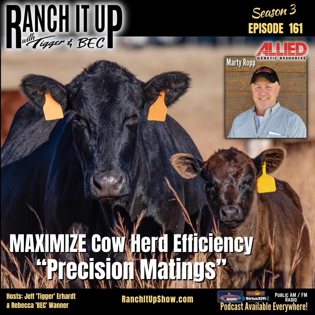 Ranch It Up Radio Show & Podcast