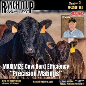 This Is How To Make The Cow Herd More Profitable & Efficient