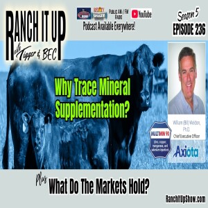 Why Cattle Need Trace Minerals Supplemented + 2025 Market Outlook