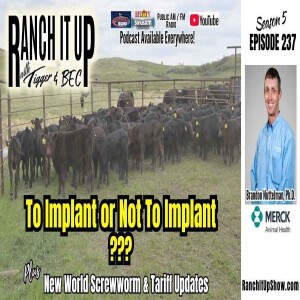Why To Implant Calves, New World Screwworm & Cattle Trade Updates