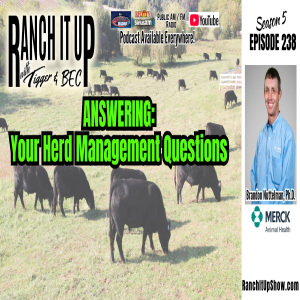 Why To Implant Your Calves – Part 2 & Cattle Corral Designs
