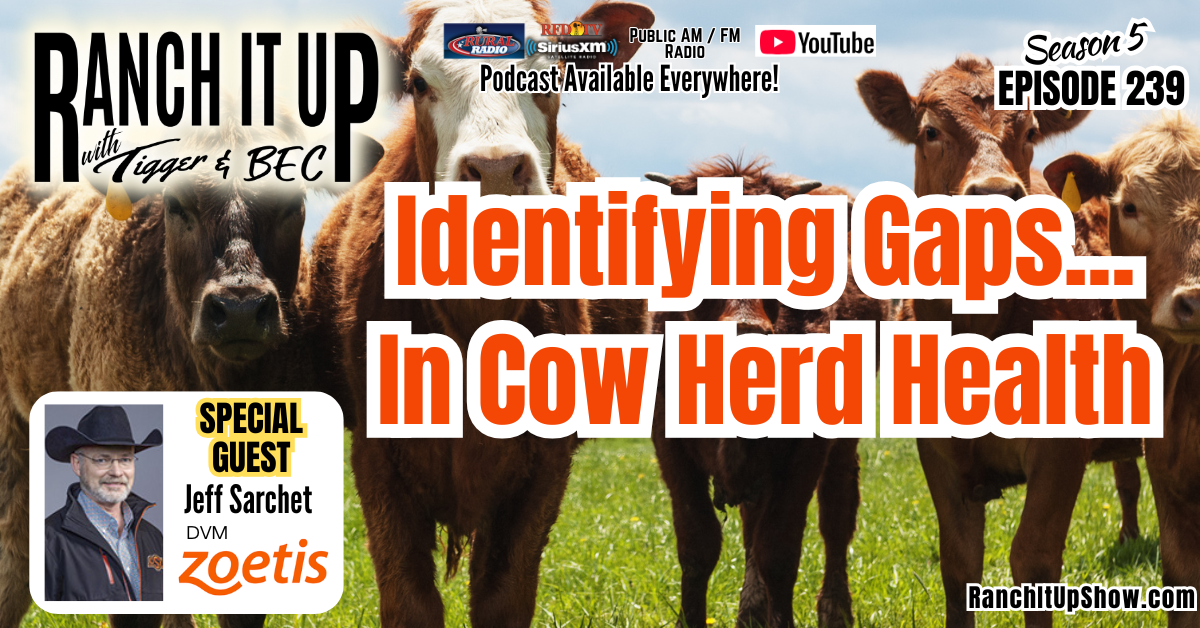Ranch It Up Radio Show & Podcast