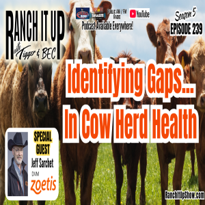 Is Your Cowherd Vaccination Program Missing The Mark?