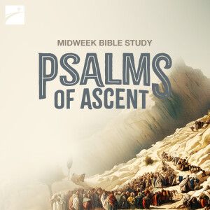 Psalms of Ascent: Nurturing Faith, Psalm 132