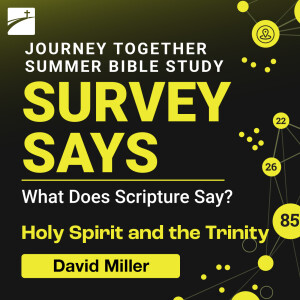 Survey Says: Doctrine of the Holy Spirit and the Trinity