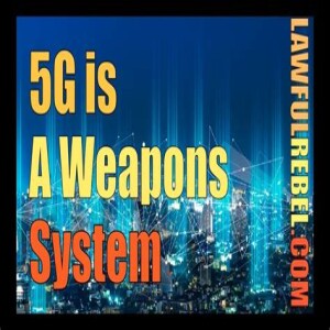 5G Weapon Systems with Mark Steele - Samantha Edwards Reports