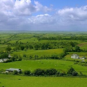 Fields of Athenry