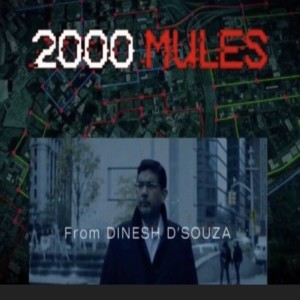 2000 Mules