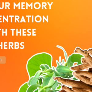 Boost Your Memory and Concentration Power with these Essential Herbs