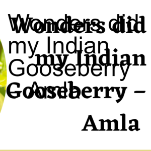 Wonders did my Indian Gooseberry – Amla