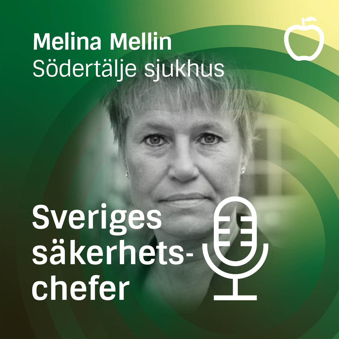 Sveriges Säkerhetschefer