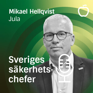 Mikael Hellqvist, Jula