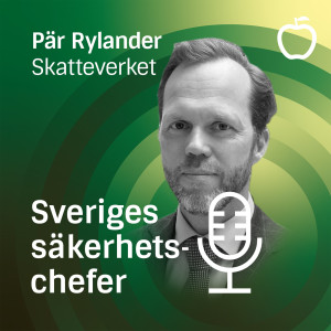 Pär Rylander, Skatteverket