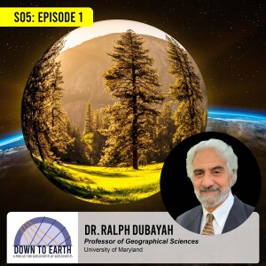 S5E01 Down to Earth: Forest Ecosystems