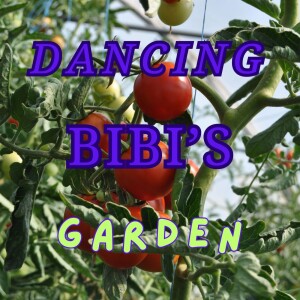 Dancing BiBi's Garden