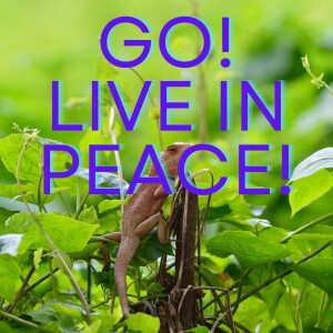 Go Live in Peace