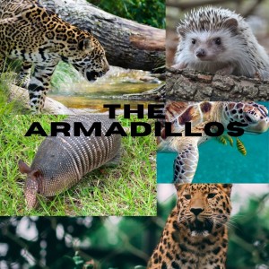 The Armadillo Part 2