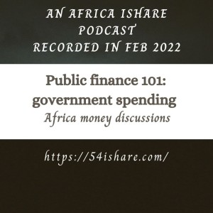 Public finance: Government spending 101 - Africa money