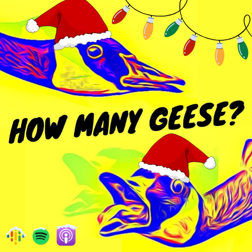 How many geese?