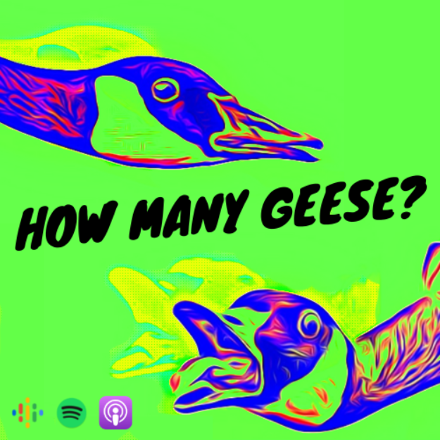 How many geese?