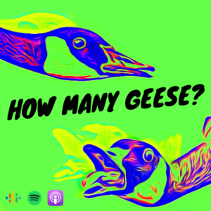 Geese on Tour: Craney McCraneface