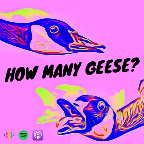 How many geese?