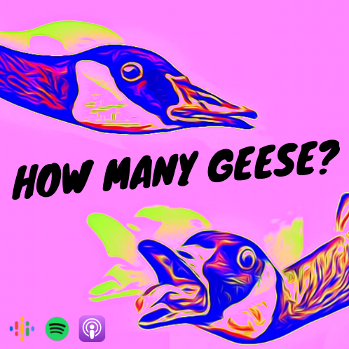 How many geese?
