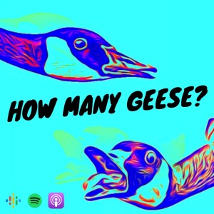 Geese on tour: To bee or not to bee