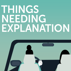 Things Needing Explanation​ by Julia Fisher