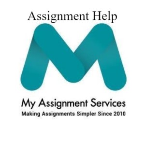 Hire an Expert for Writing Flawless Assignments