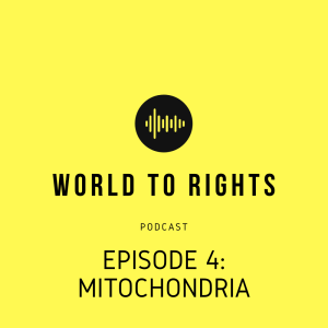 World to Rights Podcast #4 - Mitochondria