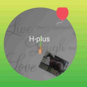 H-Plus: Ascot racecourse.
