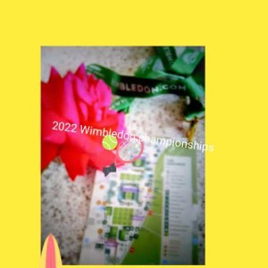 The Wimbledon championships briefing