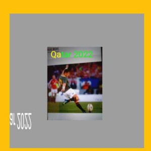 Daily briefing on: Qatar world cup week 2