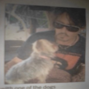 TheJohnny Depp case 💜 week 1