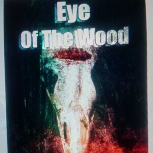 📖 Audiobook: Michael kilman eye of the wood.