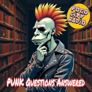 PUNK Questions Answered