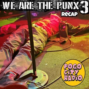 We Are the Punx 3 Recap