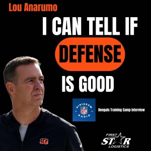 Bengals Defensive Coordinator Lou Anarumo - I Can Tell If Defense Is Good