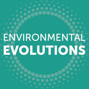 Environmental Evolutions: Mitigating Coal Ash Litigation Risks: Finding the Right Pillow for your Sleeping Giant