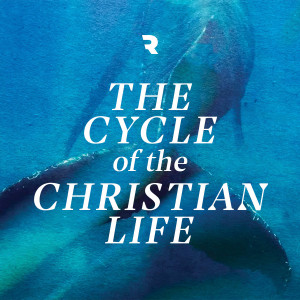 The Cycle of the Christian Life