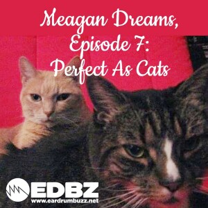 Meagan Dreams Episode 7: Perfect As Cats