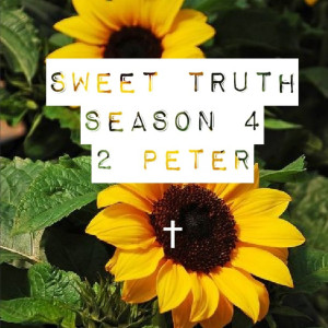 2 Peter 1:1-11 “The 7 Important”