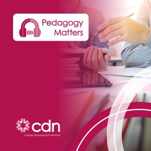 Episode 5: Pedagogy Matters with Dr Gary Husband - Mentoring