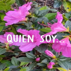 Quien Soy