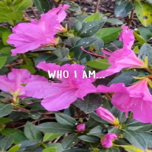 Who I Am (video)