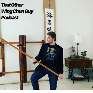 That Other Wing Chun Guy Podcast: Episode 4-Academic Thinking